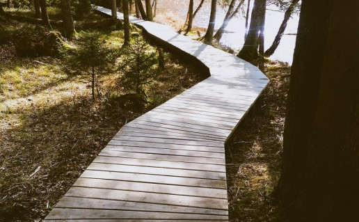 24_Germantas (4).jpg